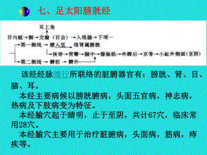 足太阳膀胱经91课件.ppt