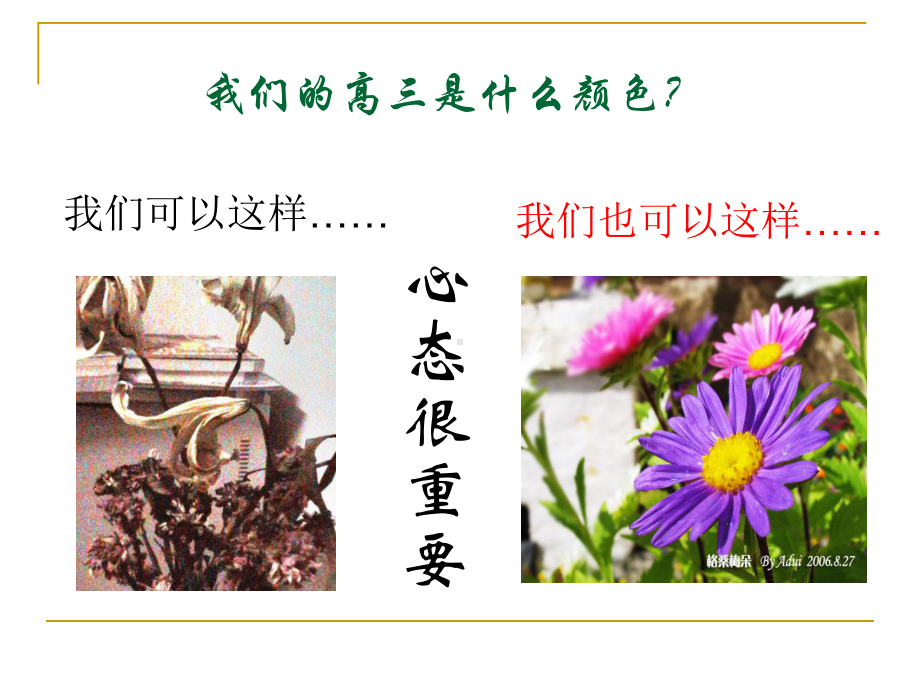 享受花开的声音-迈好高三的第一步课件.ppt_第3页