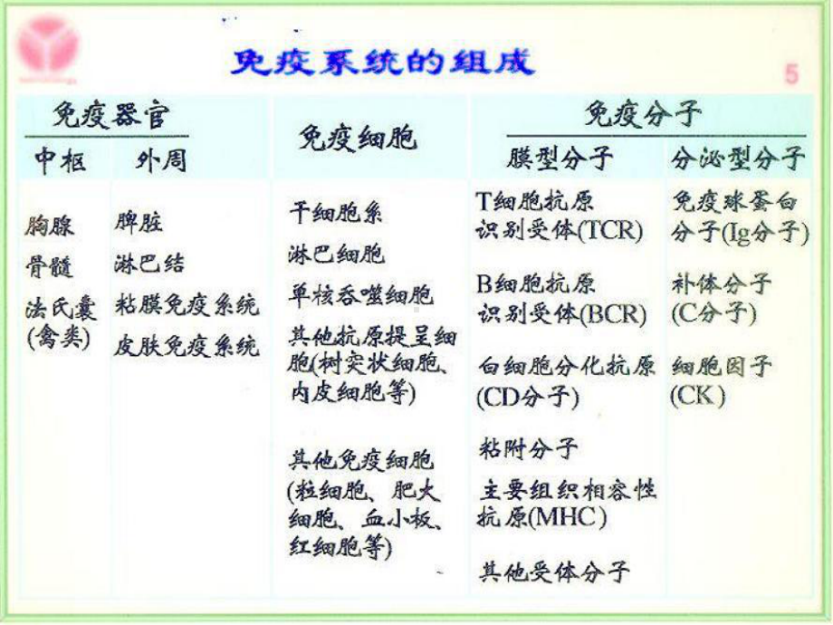 免疫组织和器官最新医学免疫学课件.ppt_第2页