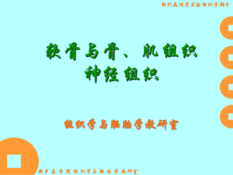 肌组织神经组织软骨与骨新乡医学院课件.ppt_第1页