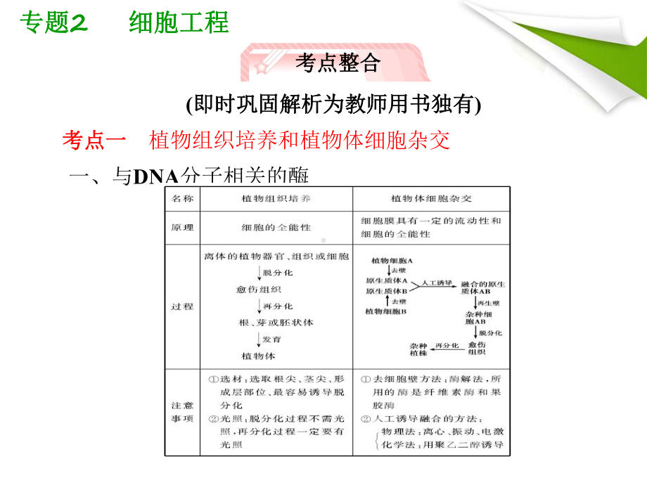 人教版教学课件2012高考生物总复习课件：专题2《细胞工程》知识研习(新人教版选修3).ppt_第3页