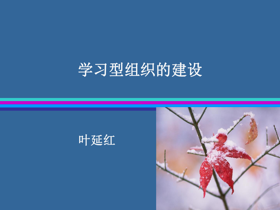 第五项修炼—学习型组织的建设课件.ppt_第1页