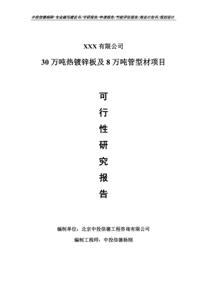 30万吨热镀锌板及8万吨管型材可行性研究报告申请报告.doc