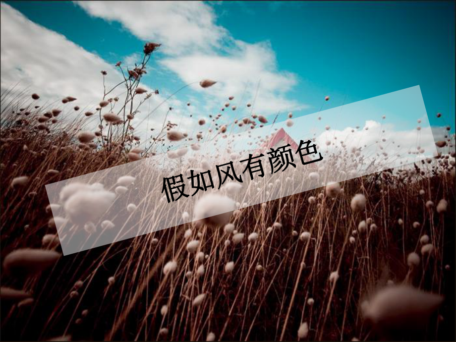 假如风有颜色课件.ppt_第2页