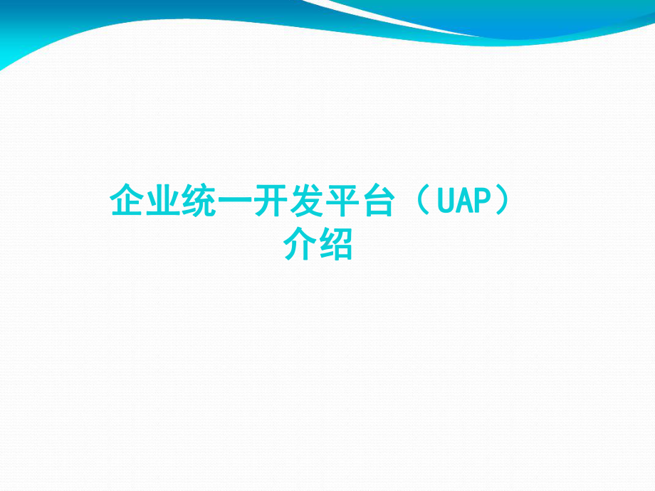 企业级统一开发平台项目解决方案.ppt_第1页