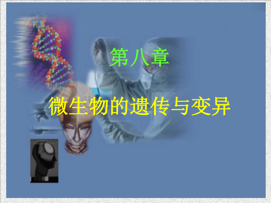 第八章微生物遗传与变异1课件.ppt_第1页