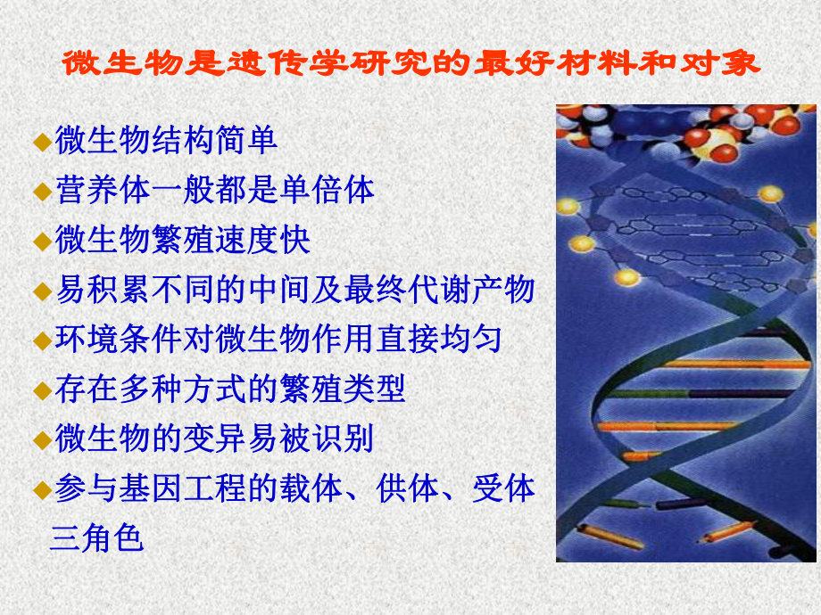 第八章微生物遗传与变异1课件.ppt_第2页