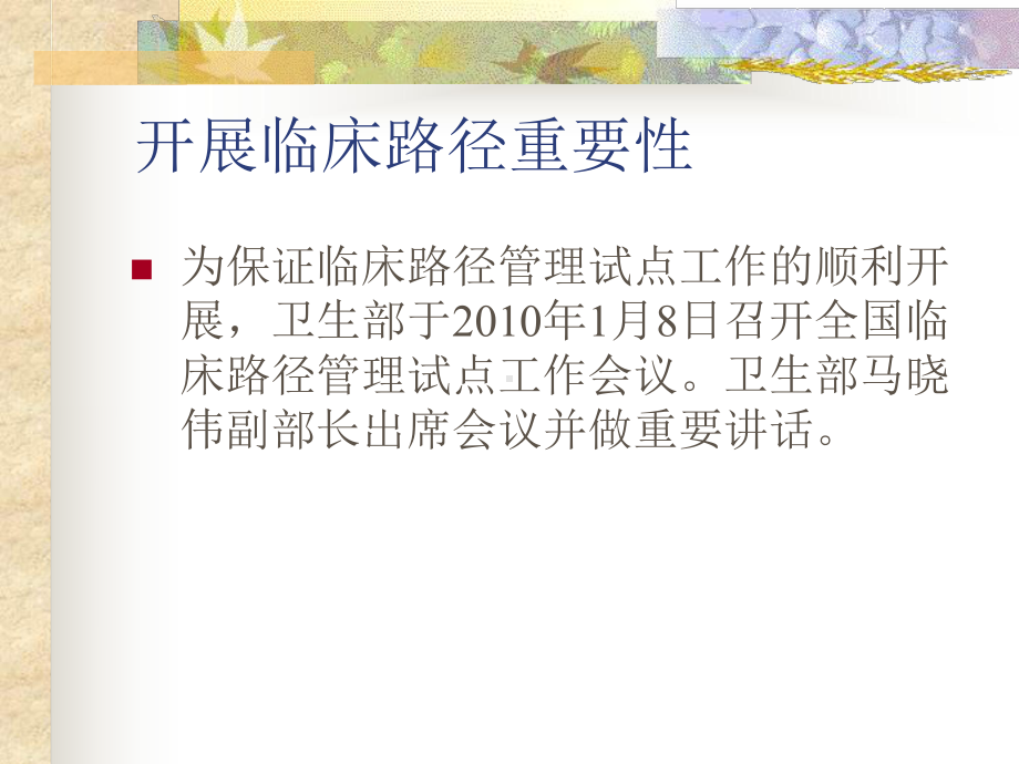 临床路径初探课件.ppt_第2页