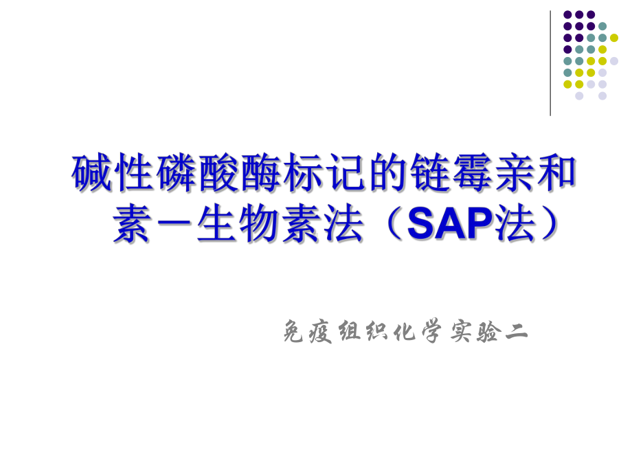 碱性磷酸酶标记的链霉亲和素生物素法(SAP法)课件.ppt_第1页