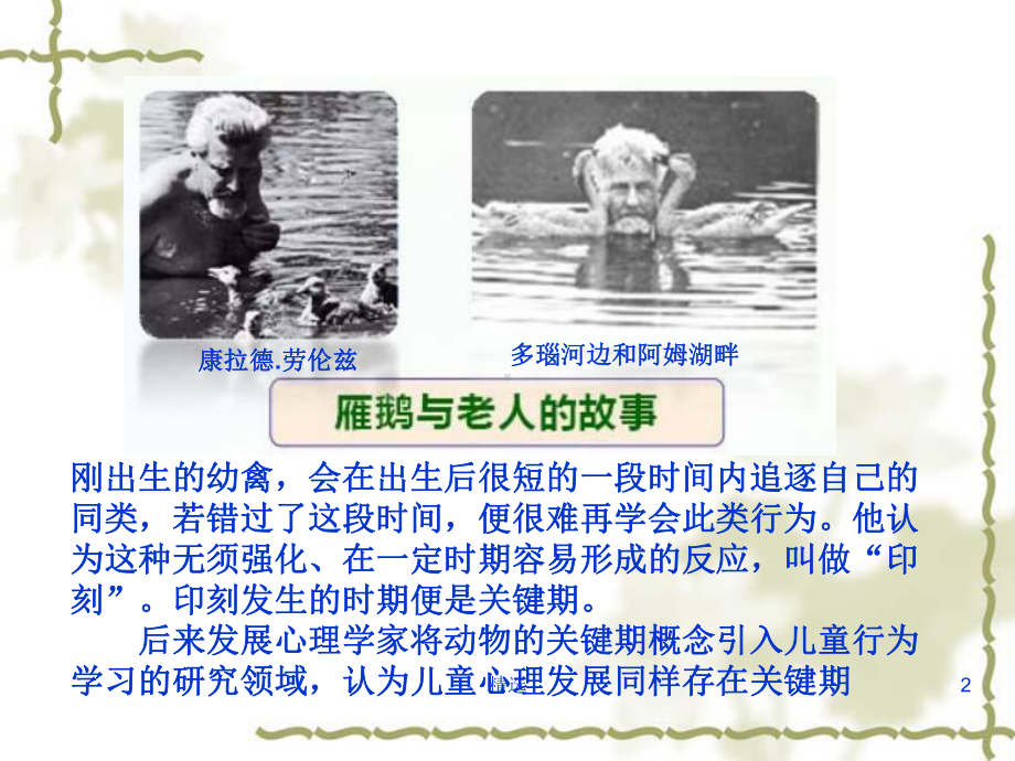 神经行为学检测方法课件.ppt_第2页