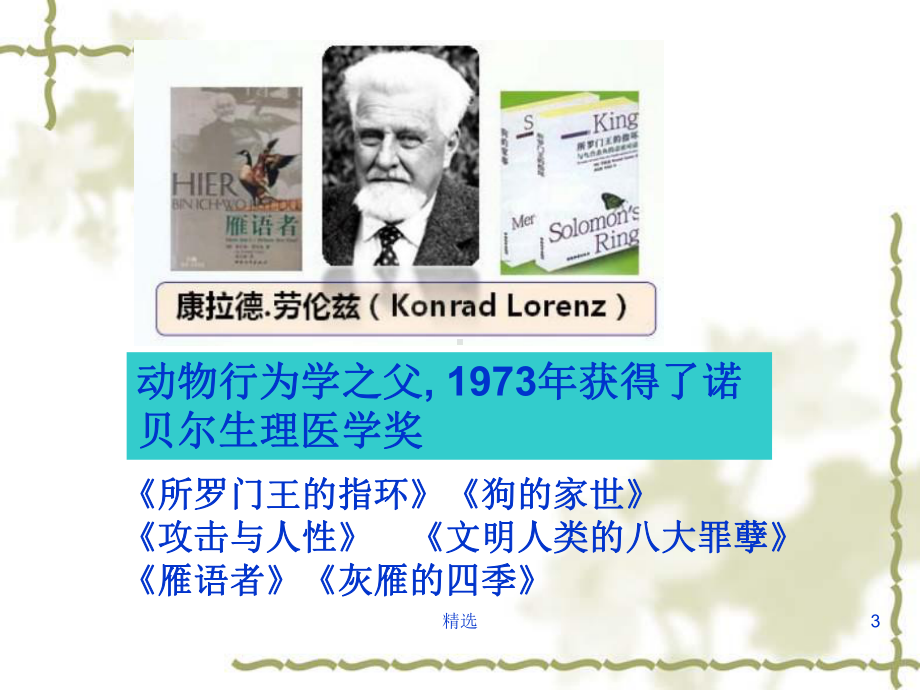 神经行为学检测方法课件.ppt_第3页