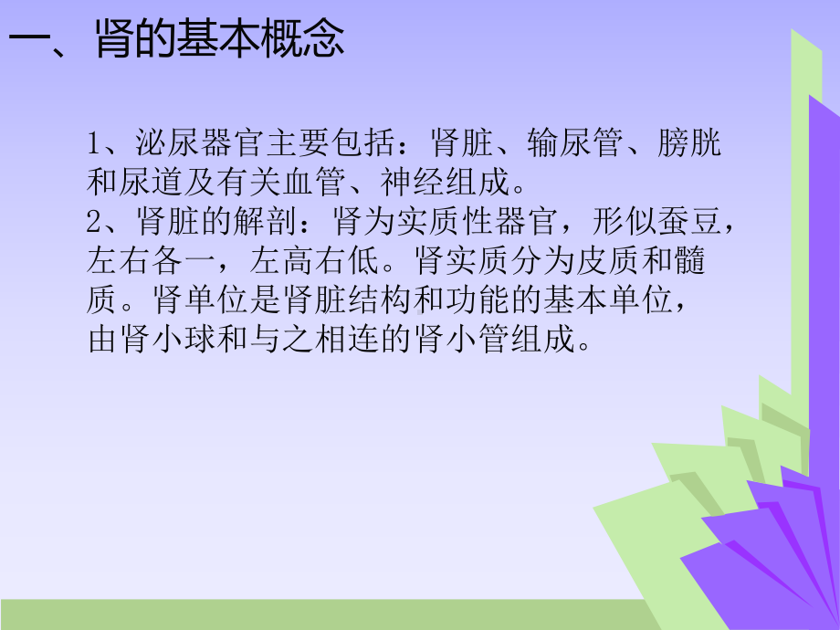 肾小球肾炎课件xxx医院.ppt_第3页