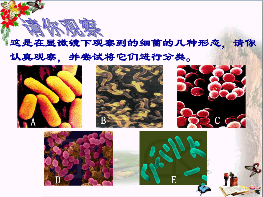 六年级科学上册细菌课件6青岛版.ppt_第3页