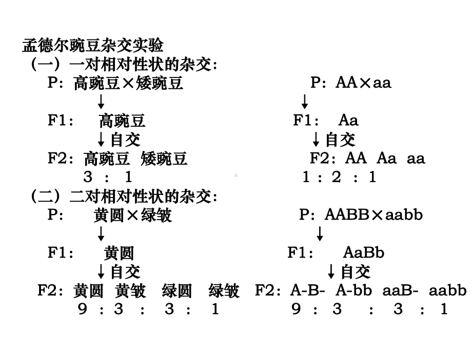 人教版教学课件惠东中学高三生物选修3测试题讲评课件上学期.ppt_第3页