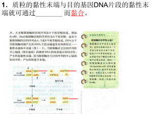 人教版教学课件惠东中学高三生物选修3测试题讲评课件上学期.ppt