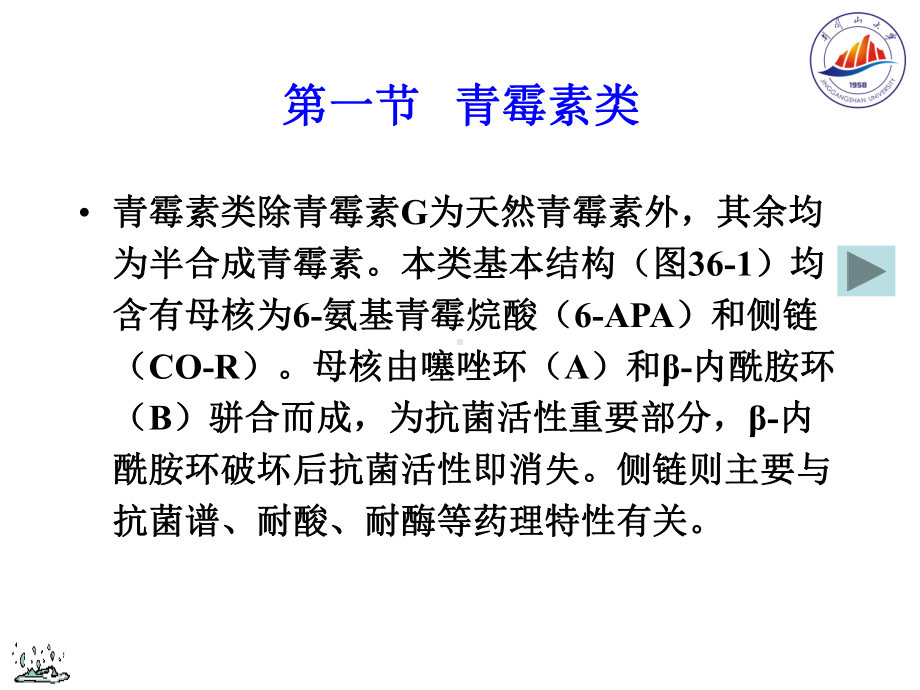 第三十六章β内酰胺类抗生素课件.ppt_第3页