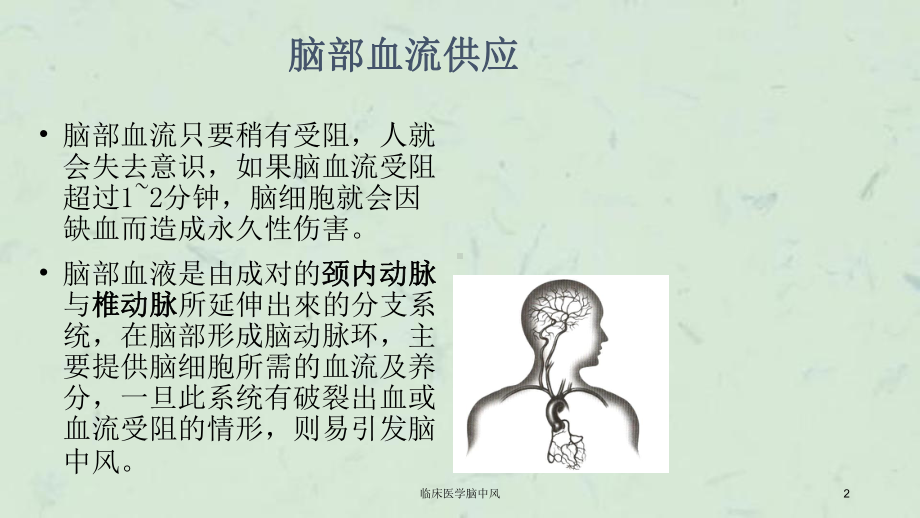 临床医学脑中风课件.ppt_第2页