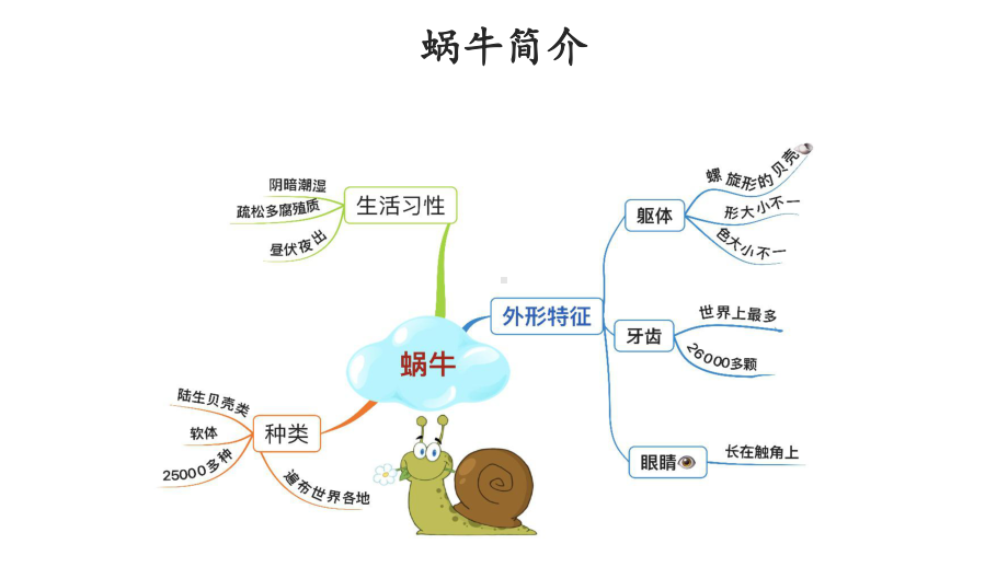 人教部编版一年级语文上册小蜗牛教学课件.pptx_第3页