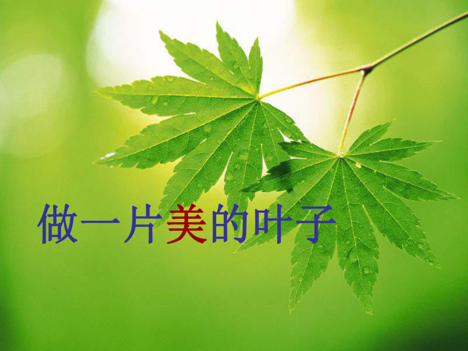 做一片美的叶子课件.ppt_第1页