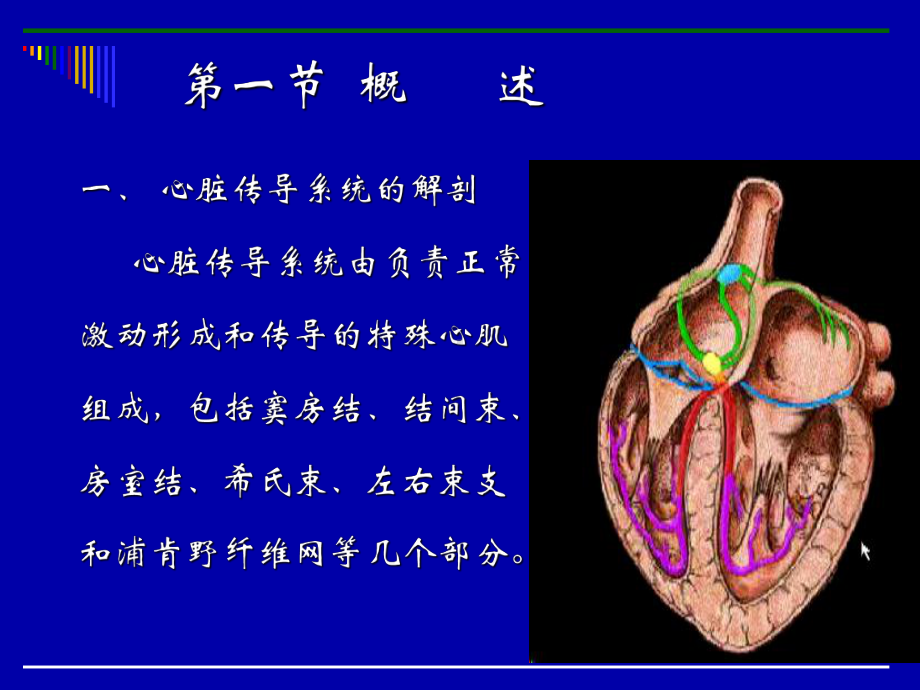 心肺脑复苏术教案副本课件.ppt_第3页