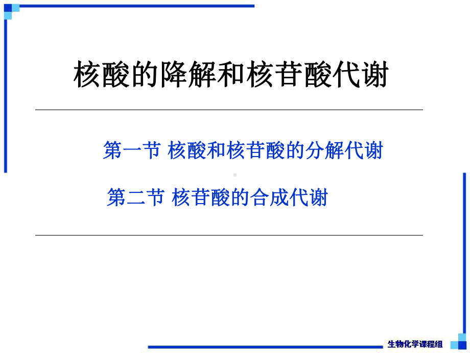 生物化学下第33章核酸的降解和核苷酸代谢课件.ppt_第2页