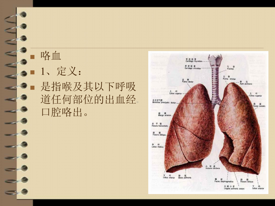 咯血呕血便血课件.ppt_第3页