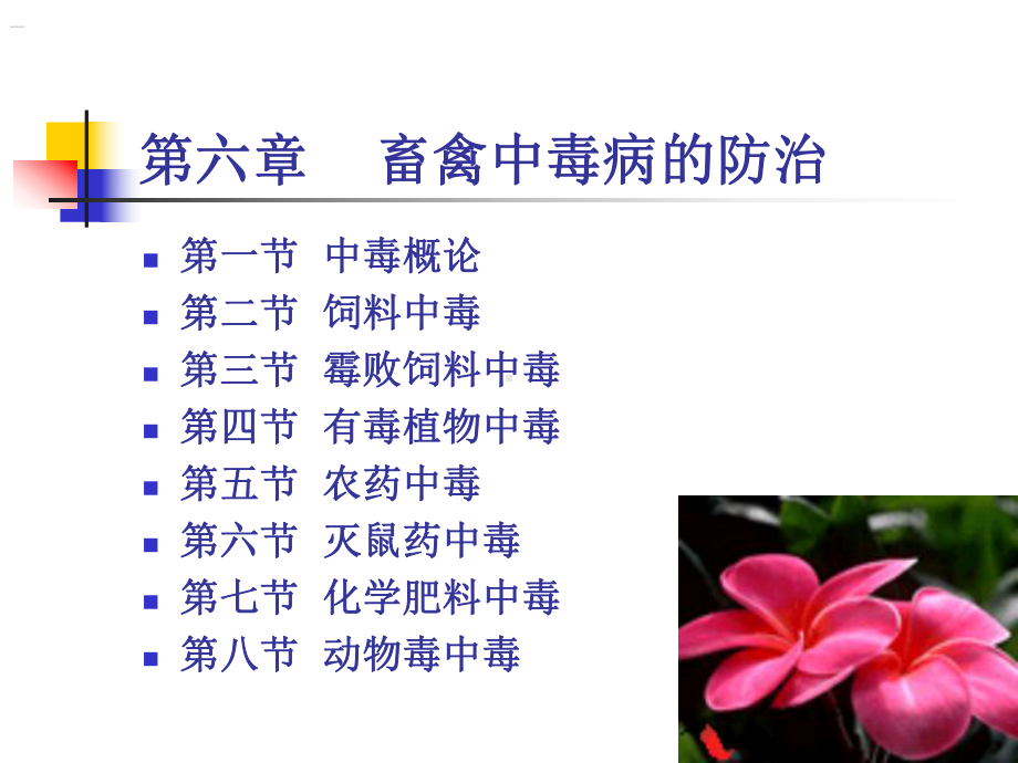 兽医学概论内科病课件.ppt_第1页