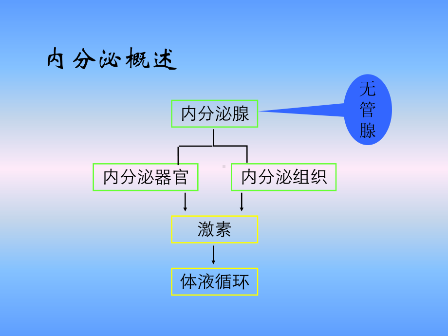 医药学基础内分泌与生殖系统课件.ppt_第2页