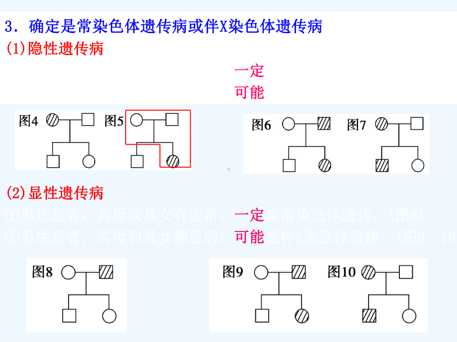 伴性遗传习题课课件.ppt_第3页