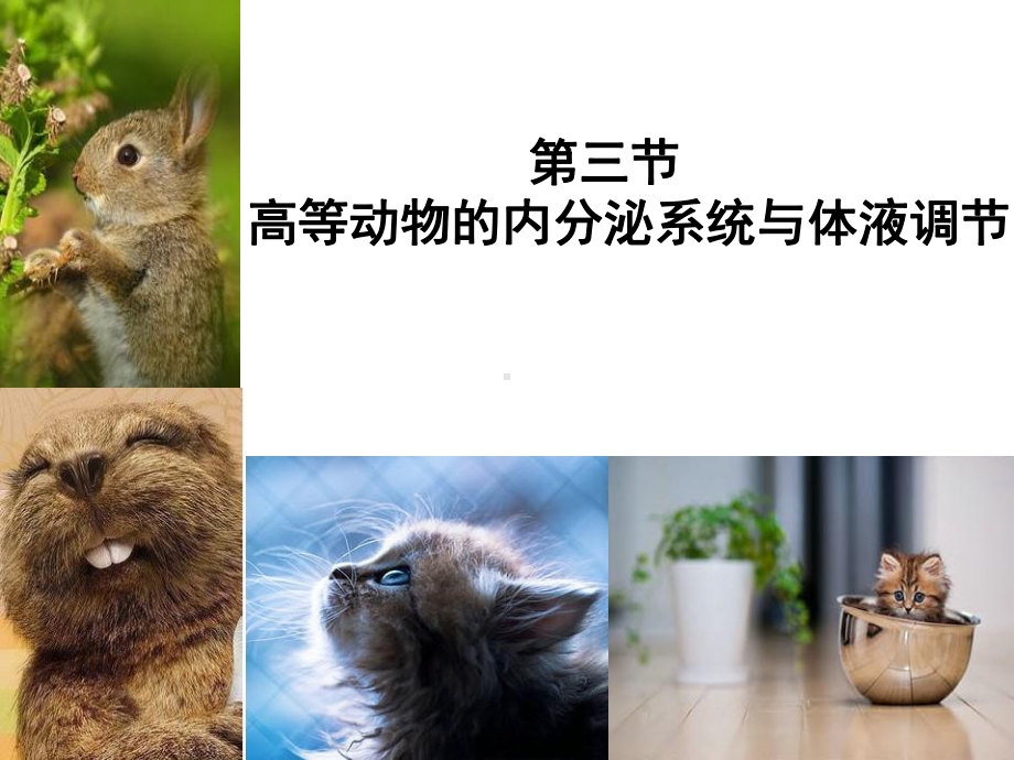 内分泌系统与体液调节(一)课件.ppt_第1页