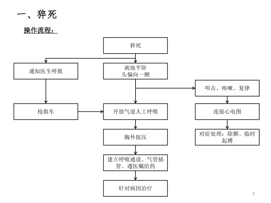 危急重症患者的病情观察与抢救流程 课件.pptx_第3页