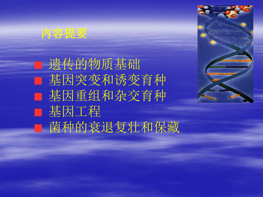 第七章微生物遗传课件.ppt_第3页