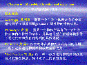 第七章微生物遗传课件.ppt