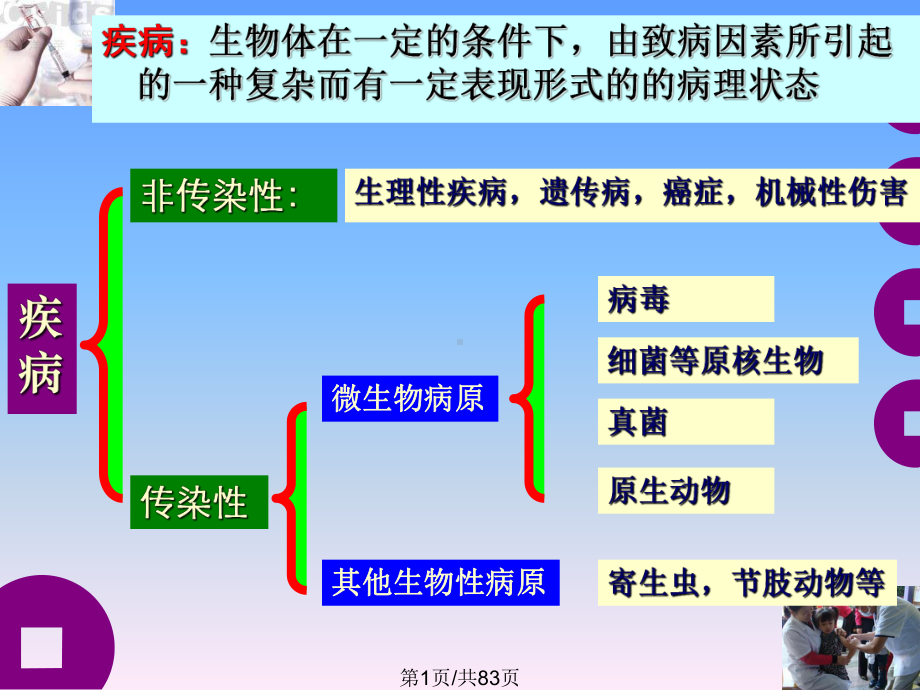 九传染与免疫课件.pptx_第1页