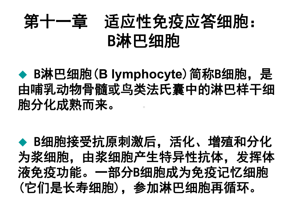 适应性免疫应答B淋巴细胞课件.ppt_第1页