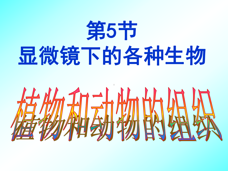 科学课件252上课用.ppt_第1页