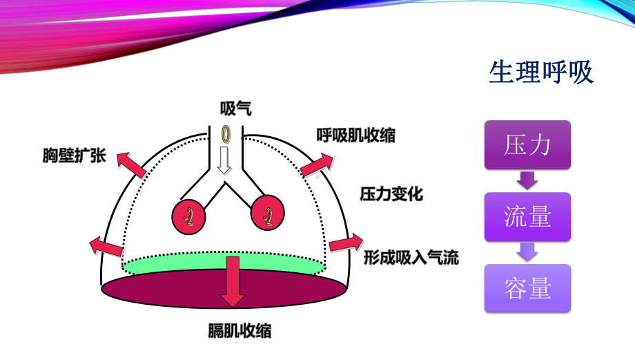 呼吸机波形分析课件.pptx_第2页