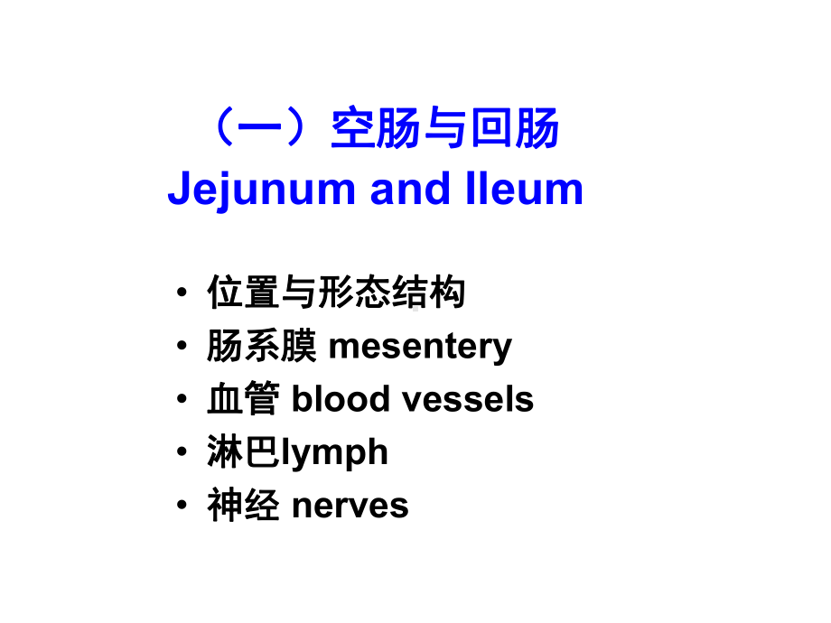 结肠下区 课件讲义.ppt_第3页