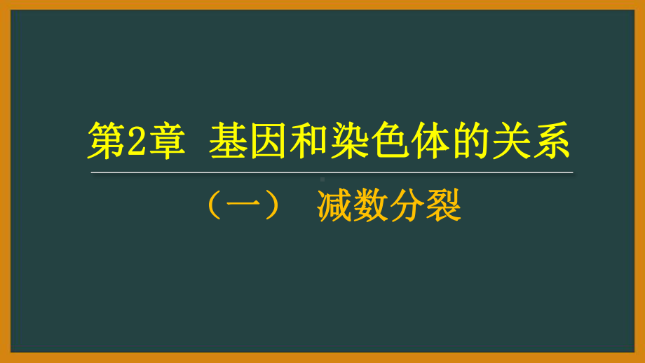 人教版高中生物《减数分裂》课件1.pptx_第2页