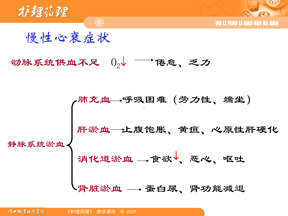 血容量前负荷RAS激活水钠潴留AngII醛固酮分泌护理药理课件.ppt_第3页