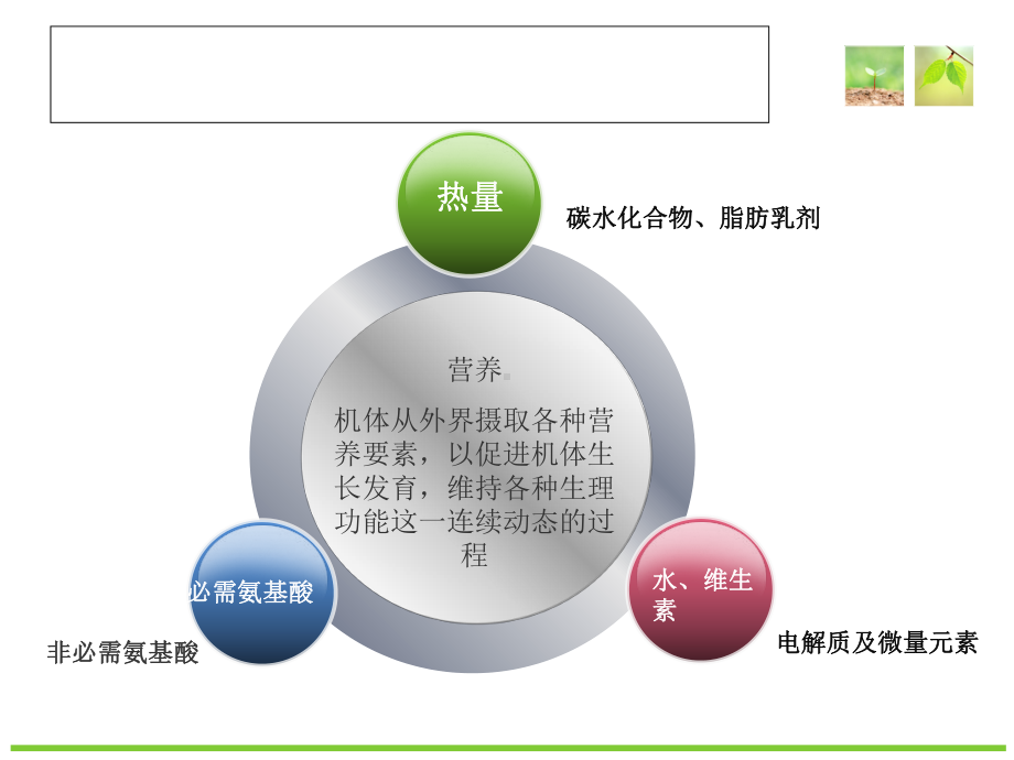 肠外营养的管理—陈霞飞课件讲义.ppt_第3页