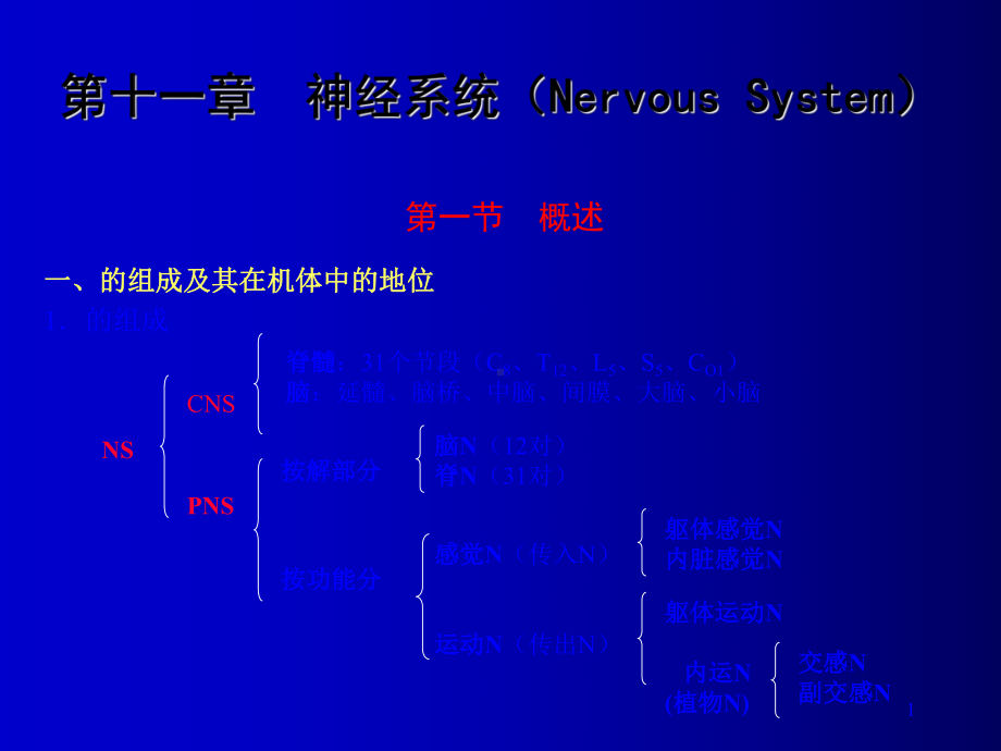 人体组织解剖神经系统(NervousSystem)课件.ppt_第1页