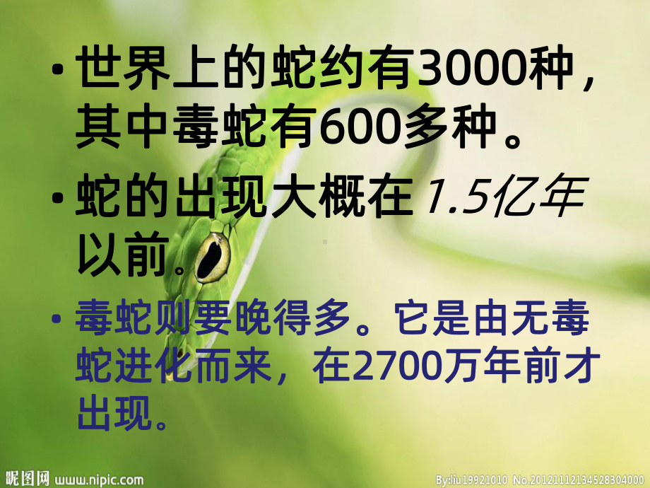 蛇的介绍课件.ppt_第2页