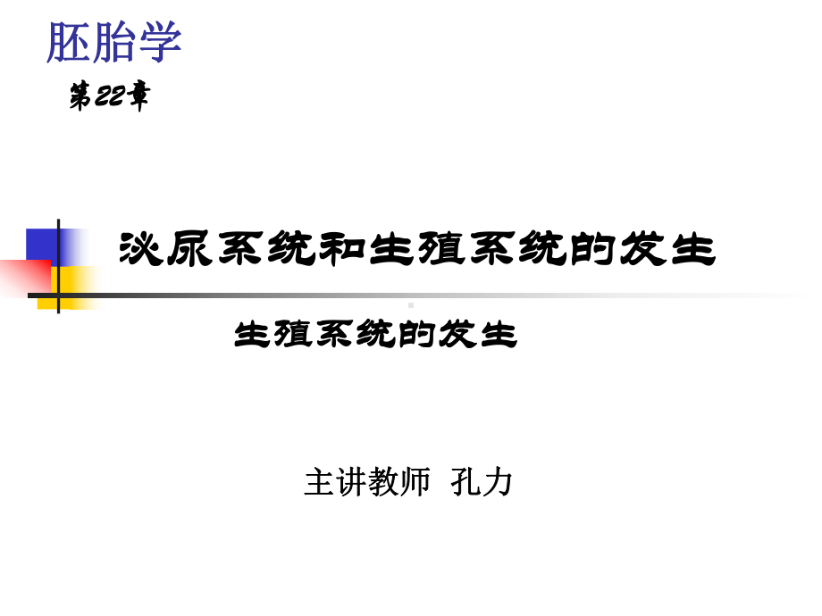 生殖系统的发生课件.ppt_第1页