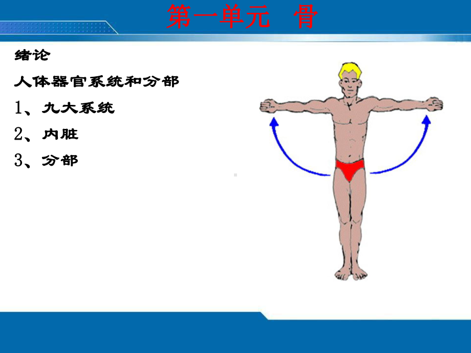 保健按摩师20144课件.ppt_第2页