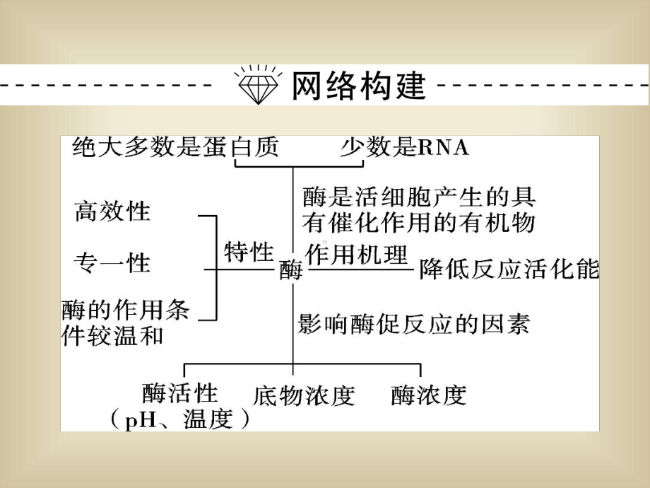 专题二第1讲ATP酶与酶的试验专题课件.ppt_第3页