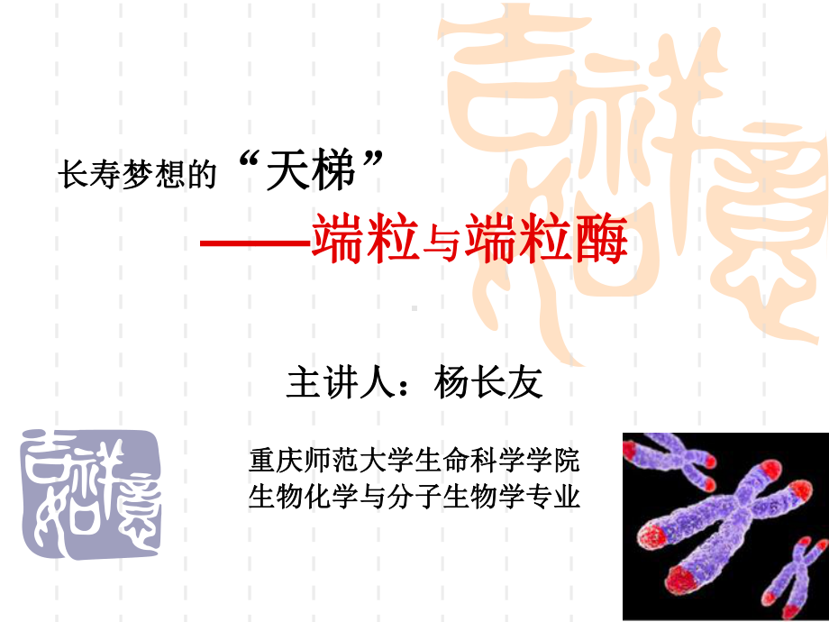 端粒与端粒酶2课件.ppt_第1页