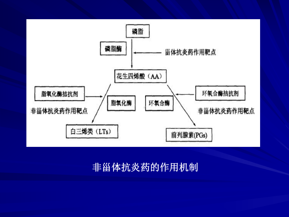 第五章解热镇痛及非甾体抗炎药课件.ppt_第3页