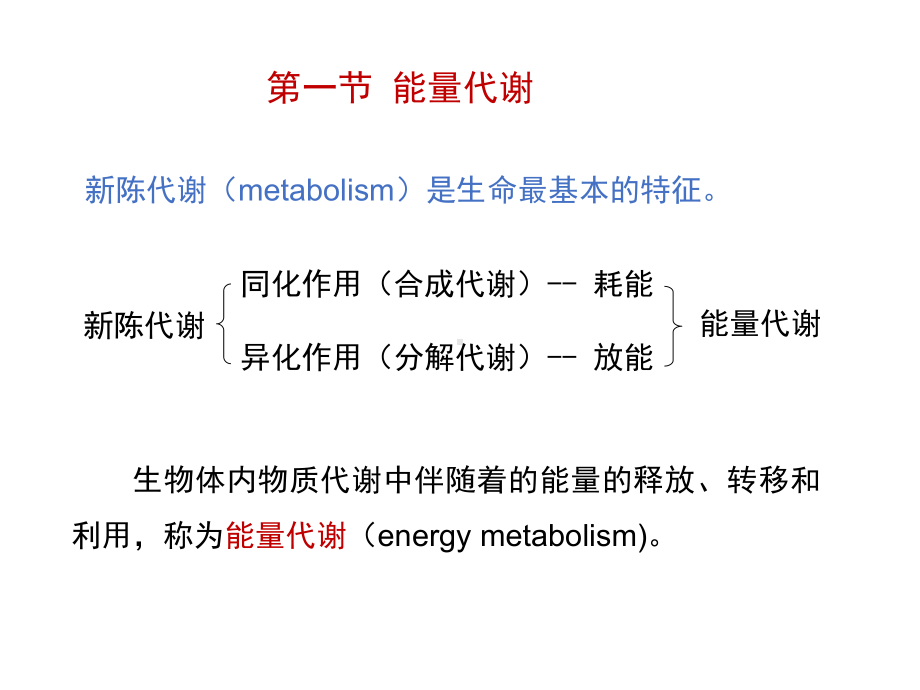 人体机能学课件第四章能量代谢和体温.ppt_第3页