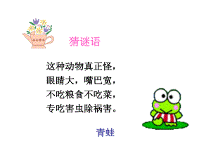 《青蛙看海》小学教学课件.ppt